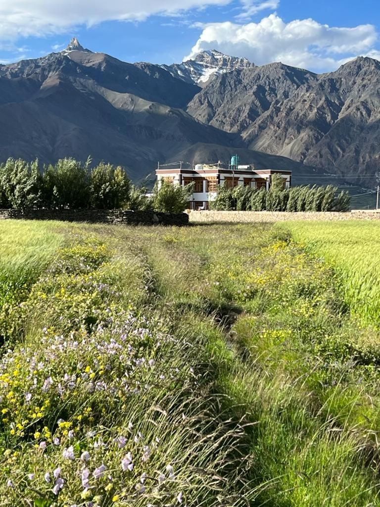 Guru View Home Stay Padam Eksteriør billede